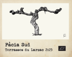 FACIA SUD
