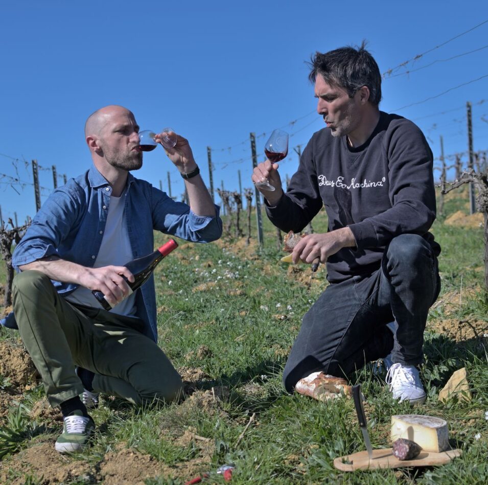 LE FRENCHY - Tasting in the Vineyard